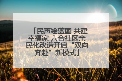 民声绘蓝图 共建幸福家 六合社区亲民化改造开启“双向奔赴”新模式
