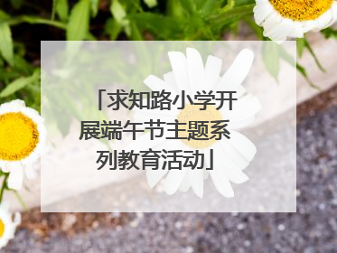 求知路小学开展端午节主题系列教育活动