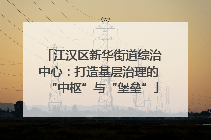 江汉区新华街道综治中心：打造基层治理的“中枢”与“堡垒”