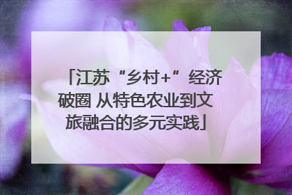 江苏“乡村+”经济破圈 从特色农业到文旅融合的多元实践