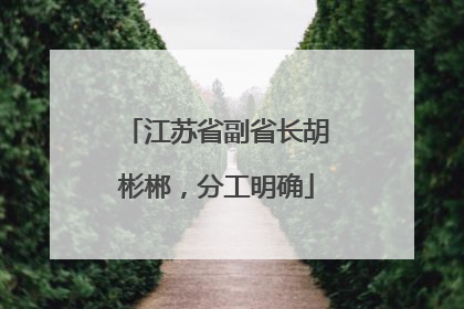 江苏省副省长胡彬郴，分工明确