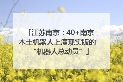 江苏南京：40+南京本土机器人上演现实版的“机器人总动员”