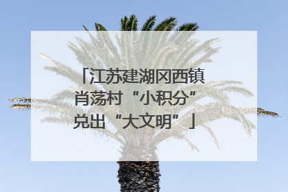 江苏建湖冈西镇肖荡村“小积分”兑出“大文明”