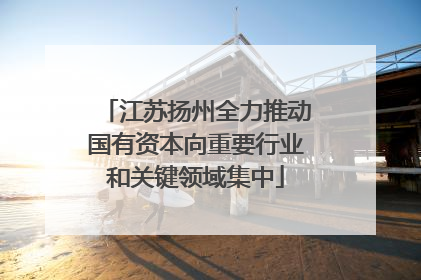 江苏扬州全力推动国有资本向重要行业和关键领域集中