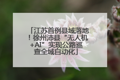 江苏首例县域落地！徐州沛县“无人机+AI”实现公路巡查全域自动化