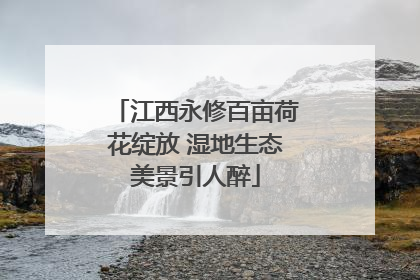 江西永修百亩荷花绽放 湿地生态美景引人醉