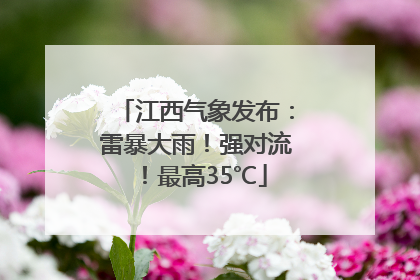 江西气象发布：雷暴大雨！强对流！最高35℃