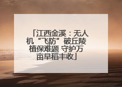 江西金溪：无人机“飞防”破丘陵植保难题 守护万亩早稻丰收