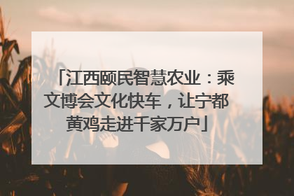 江西颐民智慧农业：乘文博会文化快车，让宁都黄鸡走进千家万户