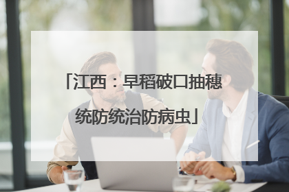 江西：早稻破口抽穗 统防统治防病虫