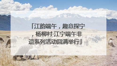 江韵端午，趣意探宁，杨柳村·江宁端午非遗系列活动圆满举行