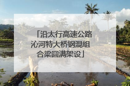 沿太行高速公路沁河特大桥钢混组合梁圆满架设