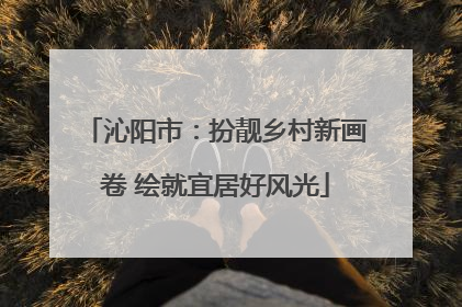 沁阳市：扮靓乡村新画卷 绘就宜居好风光