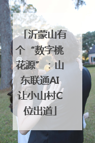 沂蒙山有个“数字桃花源”：山东联通AI让小山村C位出道