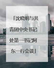 沈晓明与共青团中央书记处第一书记阿东一行会谈