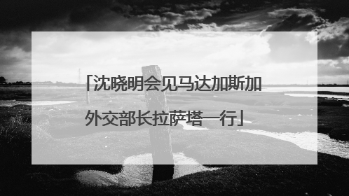 沈晓明会见马达加斯加外交部长拉萨塔一行