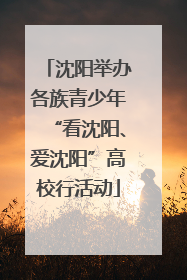 沈阳举办各族青少年“看沈阳、爱沈阳”高校行活动