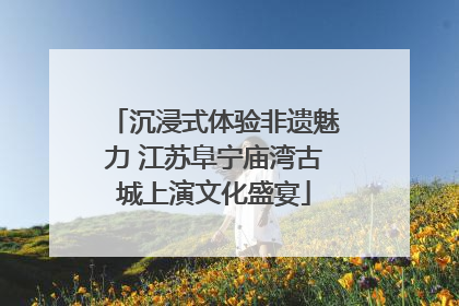 沉浸式体验非遗魅力 江苏阜宁庙湾古城上演文化盛宴