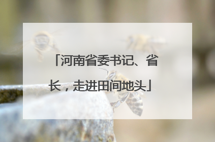 河南省委书记、省长，走进田间地头
