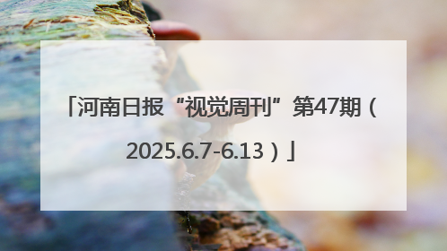 河南日报“视觉周刊”第47期（2025.6.7-6.13）