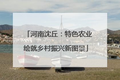 河南沈丘：特色农业绘就乡村振兴新图景