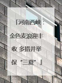 河南西峡：金色麦浪迎丰收 多措并举保“三夏”