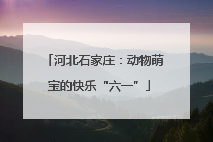 河北石家庄：动物萌宝的快乐“六一”