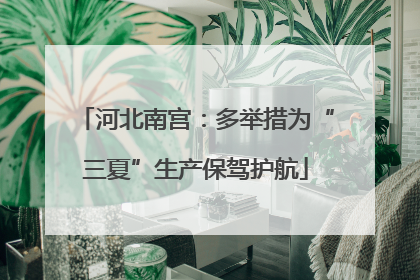 河北南宫：多举措为“三夏”生产保驾护航