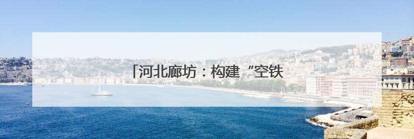 河北廊坊：构建“空铁陆海”多式联运新通道