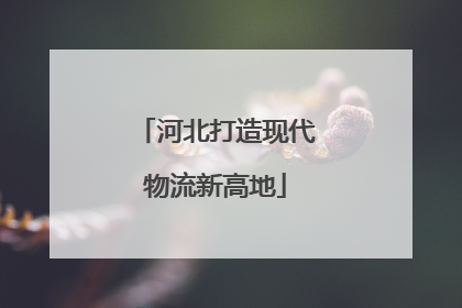 河北打造现代物流新高地