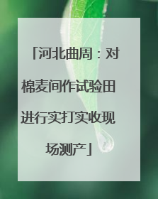 河北曲周：对棉麦间作试验田进行实打实收现场测产