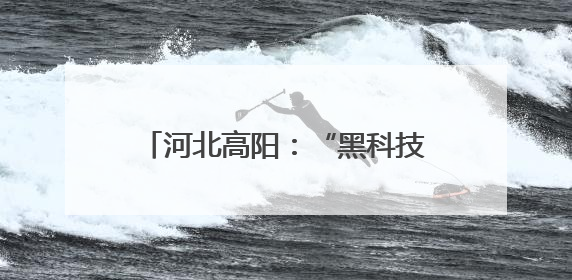 河北高阳：“黑科技”赋能夏种 跑出农业生产“加速度”