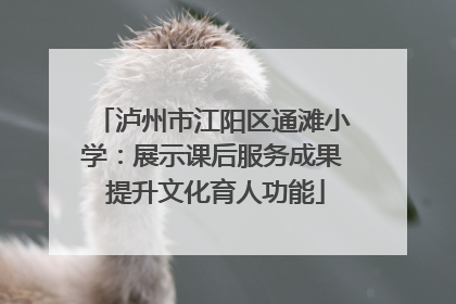 泸州市江阳区通滩小学：展示课后服务成果 提升文化育人功能