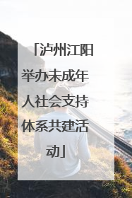 泸州江阳举办未成年人社会支持体系共建活动