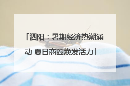 泗阳：暑期经济热潮涌动 夏日商圈焕发活力