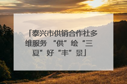 泰兴市供销合作社多维服务 “供”绘“三夏”好“丰”景