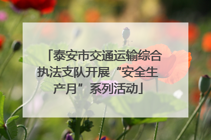 泰安市交通运输综合执法支队开展“安全生产月”系列活动