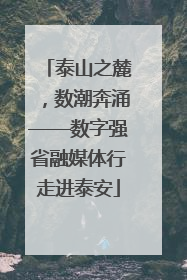 泰山之麓，数潮奔涌——数字强省融媒体行走进泰安