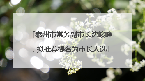 泰州市常务副市长沈峻峰，拟推荐提名为市长人选
