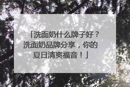 洗面奶什么牌子好？洗面奶品牌分享，你的夏日清爽福音！