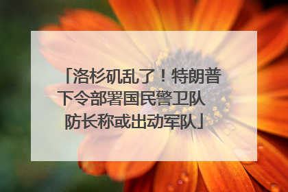 洛杉矶乱了！特朗普下令部署国民警卫队 防长称或出动军队