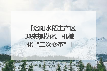 洛阳水稻主产区迎来规模化、机械化“二次变革”