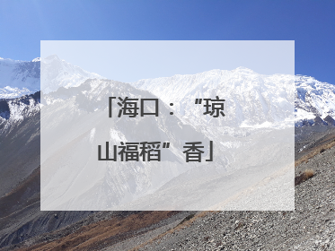 海口：“琼山福稻”香