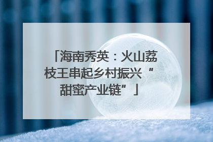 海南秀英：火山荔枝王串起乡村振兴“甜蜜产业链”