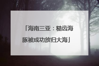海南三亚：糙齿海豚被成功放归大海