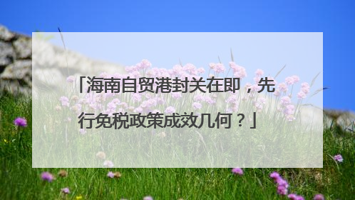 海南自贸港封关在即，先行免税政策成效几何？