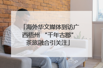 海外华文媒体到访广西梧州 “千年古郡”茶旅融合引关注