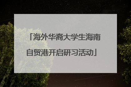 海外华裔大学生海南自贸港开启研习活动