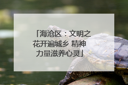 海沧区：文明之花开遍城乡 精神力量滋养心灵