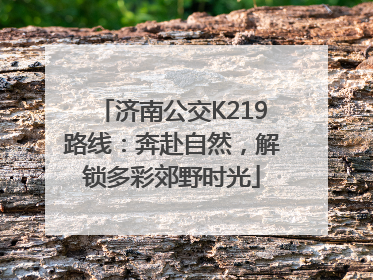 济南公交K219路线：奔赴自然，解锁多彩郊野时光